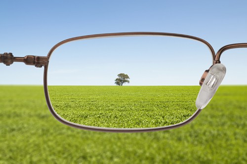 A tree comes into focus in a pair of eye glasses showing focus is the center of interest or activity