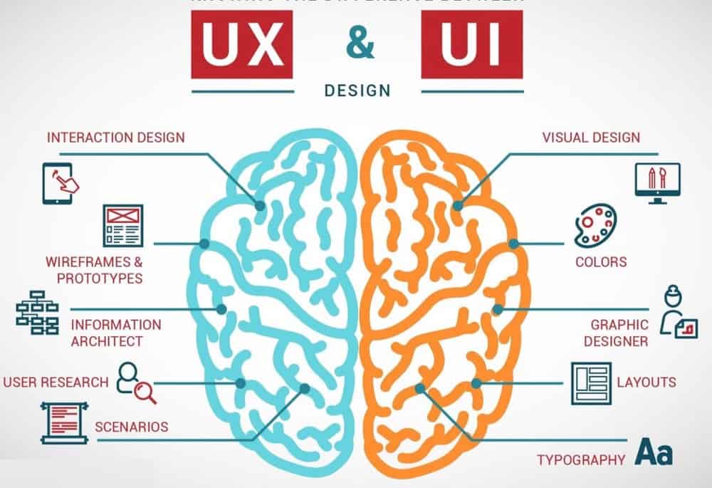 Graphic of left side brain as User Experience Design and right side brain as User Interface Design