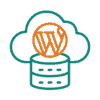 Buy WordPress Hosting services to improve your Website speed and security
