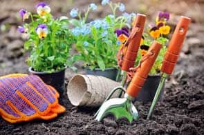 Gardening tools and spring flowers in the garden awaiting planting by outsourcing the project