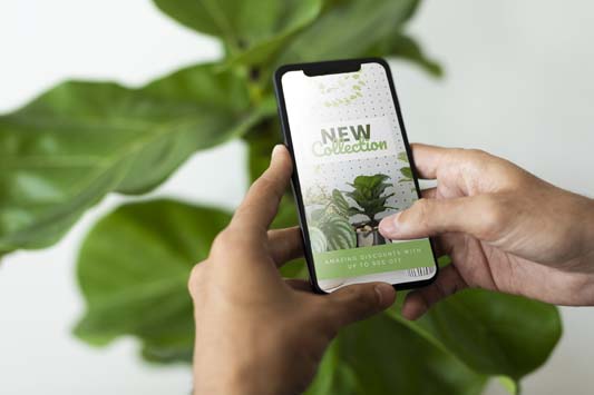 Close up of hands on smartphone taking picture of plant to be used in digital advertising campaign